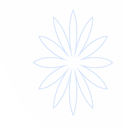 火烧云Pro官网_HsyCloud_注册与节点订阅